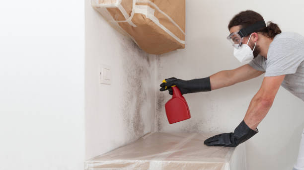Attic Mold Remediation treatment on roof deck in Cofield