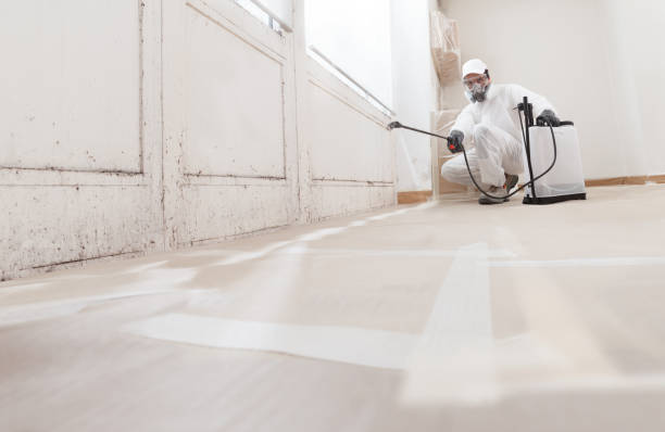 Black mold remediation team in Cofield